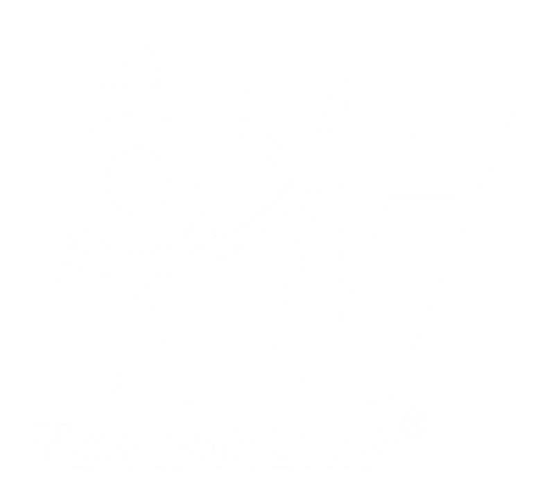 NewInVision